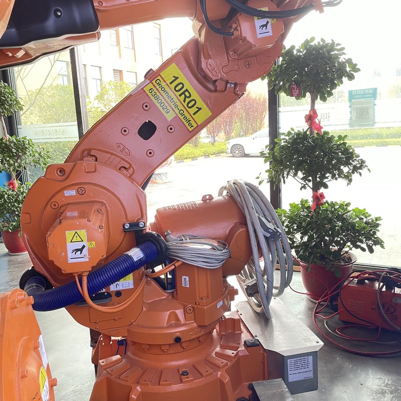 Wapen 6640235/2.55 van de tweede Handabb Robot voor Vleklassen het Behandelende Palletiseren