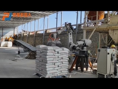 Gebruikte Vleklassen Behandelingszak het Palletiseren Robot Yaskawa ES165N