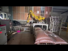 CP180L Multifunktioneel palletiseringsrobot Gebruikte Kawasaki-robot met een lading van 180 kg
