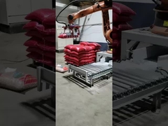 De Robots van KR16 KR60 KR210 KR240 KR360 KR500 Kuka voor Lassen het Palletiseren Lading