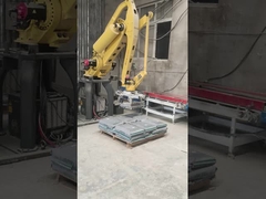 Automatisch het Palletiseren Robotwapen 4 die As Yaskawa MPL500 en het Palletiseren Robots verpakken