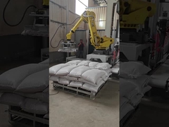 Het automatische Gebruikte Robotachtige Robotachtige Geval Palletizer van Palletizer Yaskawa MPL800